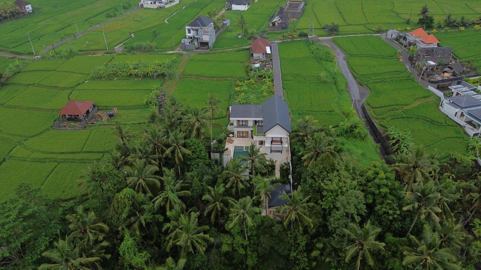 Honey Villa Ubud By Island Escape Exterior photo